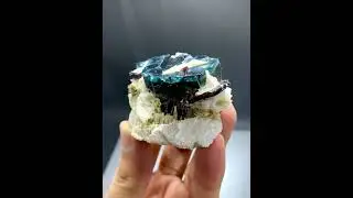 Blue Cap Tourmaline with Tantalite on Albite from Afghanistan