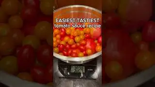 The best way to use up your tomato harvest #garden #gardening #zone8a