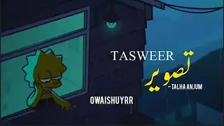TASWEER - TALHA ANJUM | LYRICAL VIDEO (VISUALS) | OWAISHUYRR