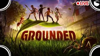 Trying Not to Get Grounded Ft. @PatchrickPlayer1 & @TheElusiveMad