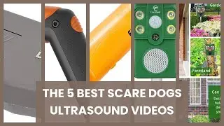 Scare dogs ultrasound: The 5 best scare dogs ultrasound videos