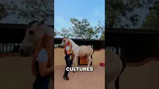 Dancing Horse Explained