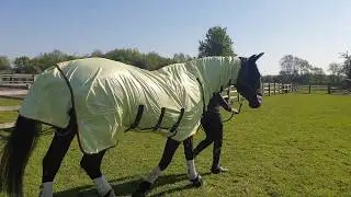 Field Relief Fly Rug review by Daisy Coakley