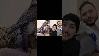 بث خلف القحطاني | سوالف مع سعود الوازعي وشقران الشمري