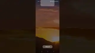 TMS: Reset the location of Chrome Browser