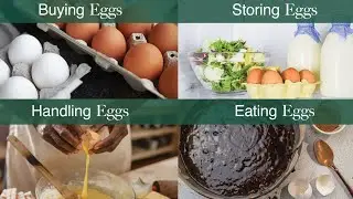 Egg Handling, Safety, and Consumption