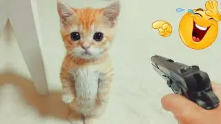 😂🐶 Royal Pet Drama 2026 — Cutest & Funniest Clips!