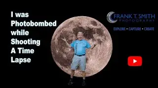 Photobombed While Shooting a Moon Time Lapse