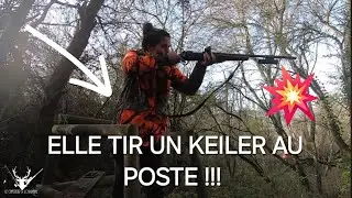 Chasse aux Sangliers : Un joli m&acirc;le de 70 kg ! 