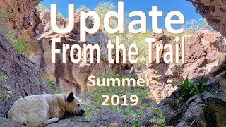 Medical Update and Summer Happenings BTSR Bob Hansler