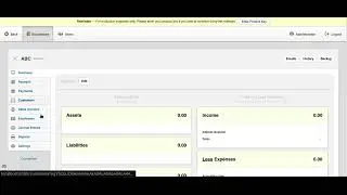 How to Setup a business on Manager.io(Finance Software) Server Version