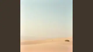 Foggy Shore Drift