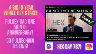 A BIG 10 Year Whale Hex Stake! PulseX Sac One Month Anniversary! Go Pulsechain Testing! Hex Day 787!