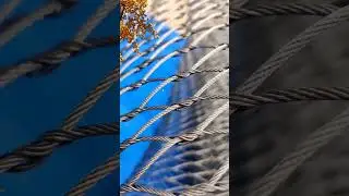 Innovations in Zoo Mesh Technology: Highlight recent advancements in zoo mesh technology for animals