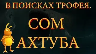 Сом. Ахтуба.  В поисках трофея. [1440p] Русская рыбалка 4. Russian Fishing 4.