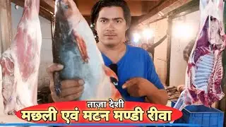 Bakra Mandi Rewa || Fish Market Rewa, मछली और मटन मार्केट रीवा kushal kewat vlog
