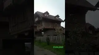 Домики на дереве 😍😛Seelbach, Schwarzwald, 21.04.2025