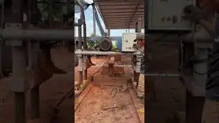 Sawing Timber for export