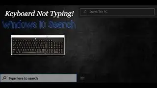 Keyboard Not Working in Windows Search Fix (English Guide)