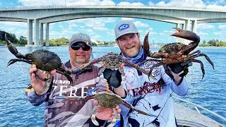 Big City Crabbing! (catch & cook)