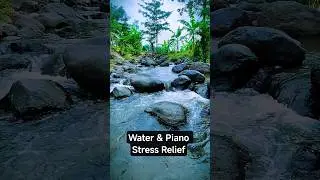 Water & Piano | Stress Relief 🎹💧#Relaxing#WaterSounds#PianoMusic#StressRelief