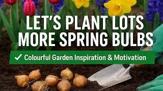 🎥 ✅ 🌸 Let&rsquo;s Plant Lots More Spring Bulbs 🌷 | Colourful Garden Inspiration & Motivation