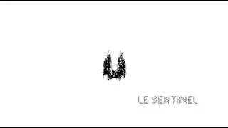 The Sentinel | Sentinel small gang PvP