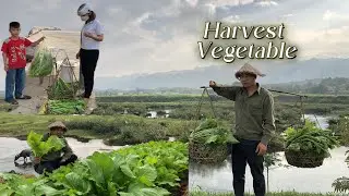 Harvest Vegetable Go To Market Sell, Single Dad And Son Life #farm #farming #survival #build #sell