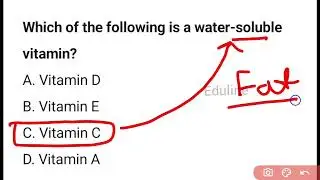 Vitamin MCQ Quiz – Test Your Knowledge! PYQ SPECIAL SERIES||TOP-20 REPEATED QUESTIONS BY SSC PYQ
