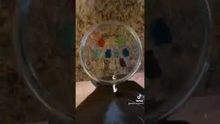 Cooking with AJ: frozen gummies part one