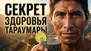 Почему у Тараумара нет артрита и диабета? Главная ошибка, которая разрушает наше здоровье