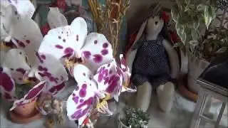 #Mirabilia  Mirabilia  The Kiss MD-12 / Поцелуй и Half Doll текущие процессы