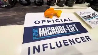Pond 2.0 Upgrade With Microbe-Lift
