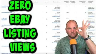 ZERO Ebay Listing views & Glitches. Whats happening?