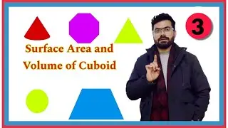 Questions of Cuboid Part-2||Ch-20||Class-8