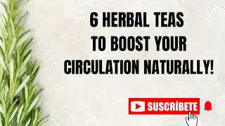 6 Herbal Teas To Boost Your Circulation Naturally