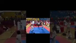 1st place🏅 #karate #tournament #highlights #karatestyle #karatedo #wadoryukarate