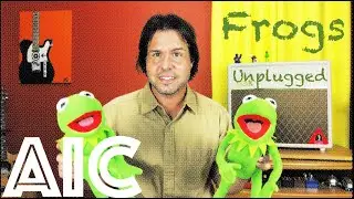 Guitar Lesson: How To Play Frogs (Unplugged) by Alice In Chains