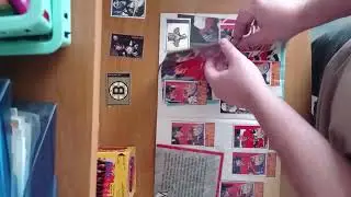 Panini Nhl 97/98 stickers