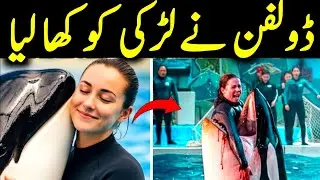 Jessica Dolphin incident |jessica radcliffe orca attack real video 
