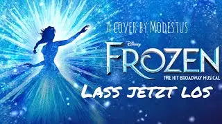Lass Jetzt Los - Die Eiskönigin (Male Cover Animation)
