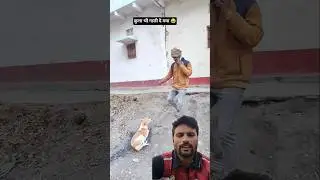 🥱GALI WALA KUTTA🤪#shortsfeed#comedy #funny #reels #animals #comedyvideos