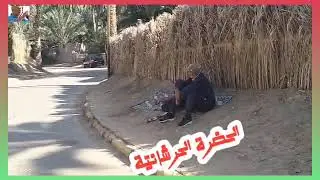 من سيدي بو علي الستي نفطة نوفمبر 2025