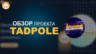TadPole - Рискованный и Ооочень потенциально прибыльный проект по модели RFI. Токен TADP.