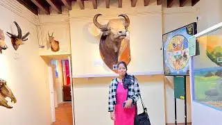 Government Museum in Ooty/Stone House/Todas Lifestyle/Unique collection of all tribes in Nilgiris