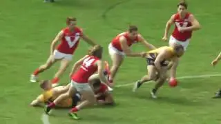 2016 Reserves Grand Final - Eagles v North