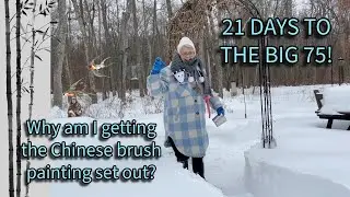 21 ДЕНЬ ДО 75-ЛЕТИЯ! Снежный день! Сегодняшний кристалл! Полезные письма! Страница в дневнике о ч...