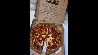 A Day In My Life Travel Vlog !Woodstock Pizza In Santa Barbara Review. #santabarbara