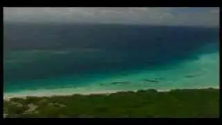 Tropicsurf