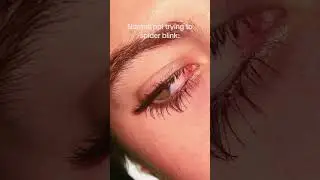 Spider blink